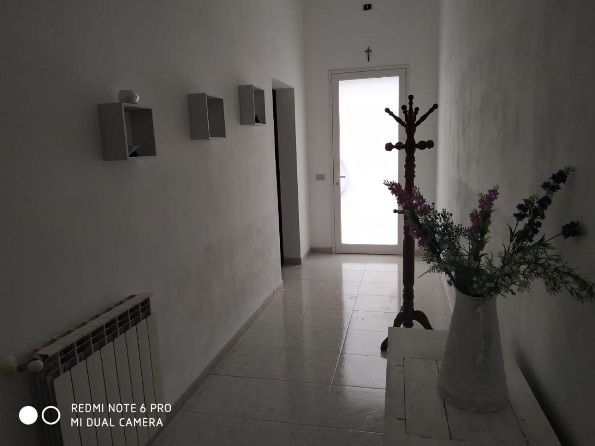 ペトロジーノ Casa Biabellaヴィラ エクステリア 写真